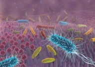 darmflora | darm | darm gesund | dickdarm | dünndarm | enddarm | darmzotten | zotten | schleimhaut | darmkrebs | krebs | darmkrankheiten