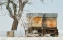 day | snow | winter | orchard | nature | honey | beekeeping | bee | production | apiary | beehive | hive | wooden | sunny | sky | landscape | countryside | honeybee | blue | box